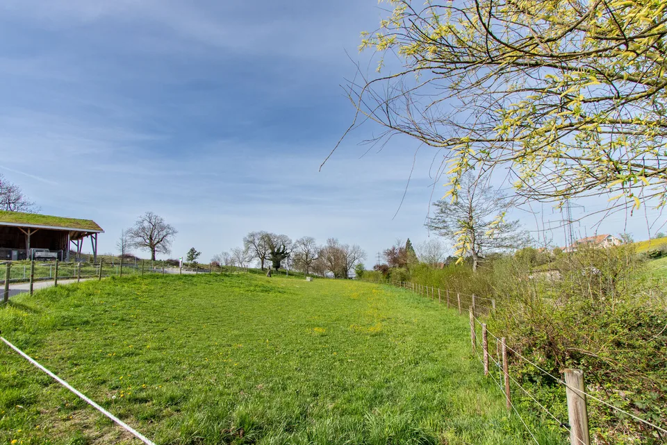 Baulandparzelle von 2'968 m2 In ländlichem Umfeld