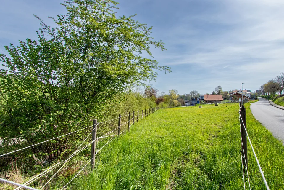 Baulandparzelle von 2'968 m2 In ländlichem Umfeld