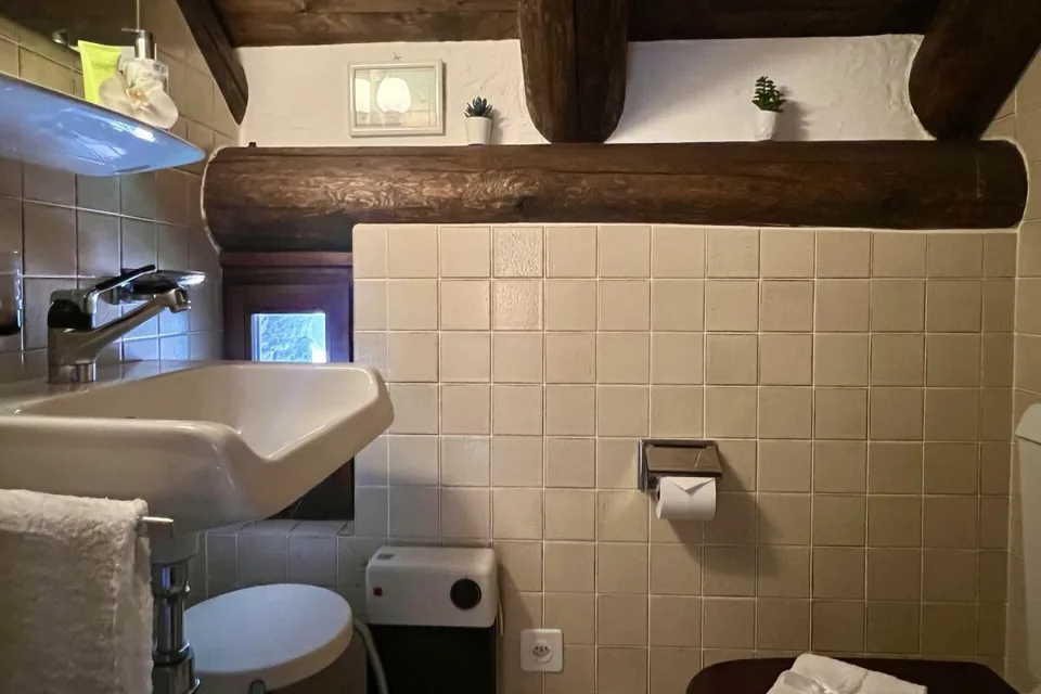 Charmantes Rustico mit grossem Grundstück und schöner Seesicht – Foto 18 von 30