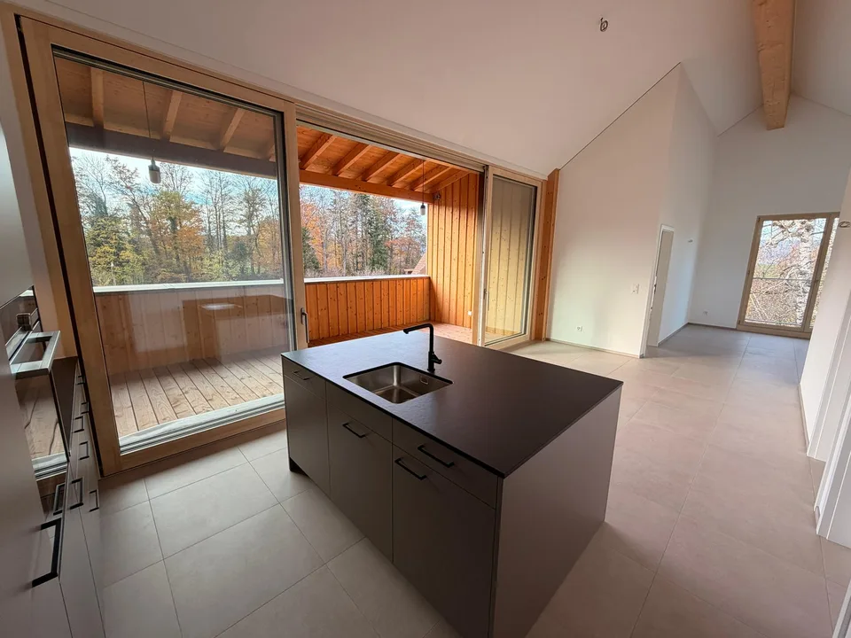 Magnifique appartement de 3.5 pièces neuf à Châtillon