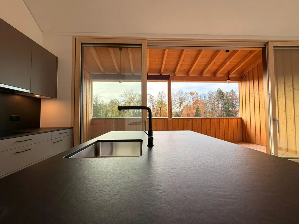 Magnifique appartement de 3.5 pièces neuf à Châtillon