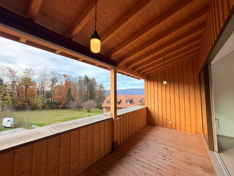 Magnifique appartement de 3.5 pièces neuf à Châtillon