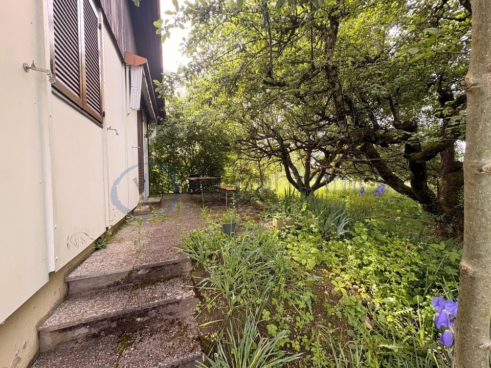 Einfamilienhaus zur Renovierung ? Großes Potenzial auf großem Grundstück in landwirtschaftlicher Zone