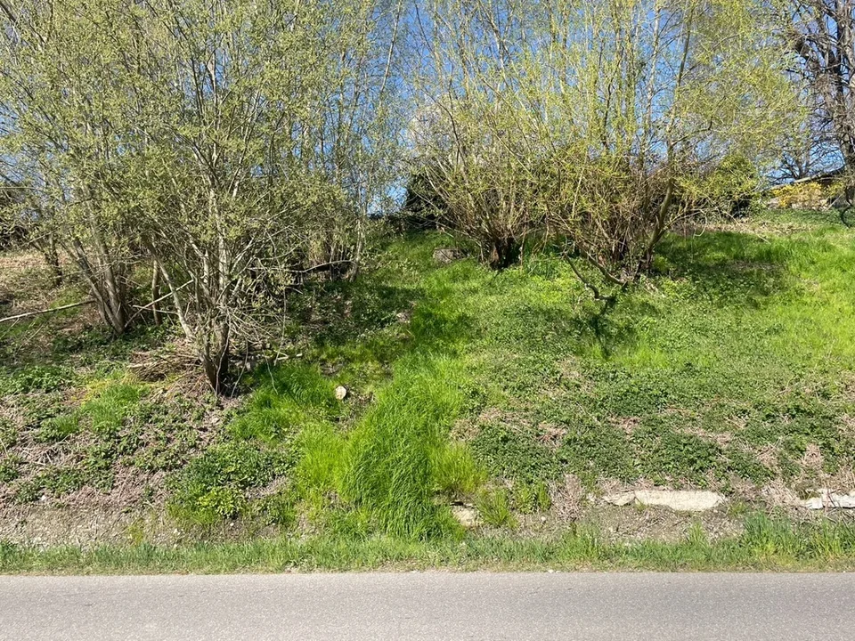 Jestetten - Baugrundstück in Südhanglage – Foto 7 von 9
