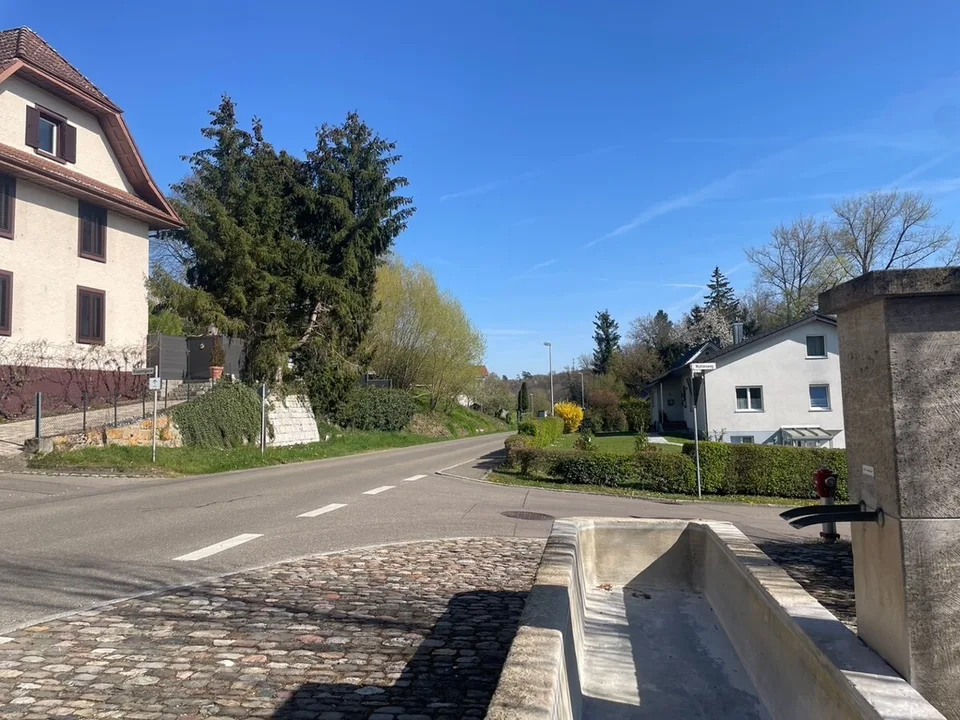 Jestetten - Baugrundstück in Südhanglage – Foto 9 von 9