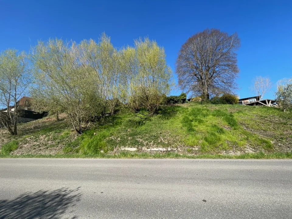 Jestetten - Baugrundstück in Südhanglage – Foto 6 von 9