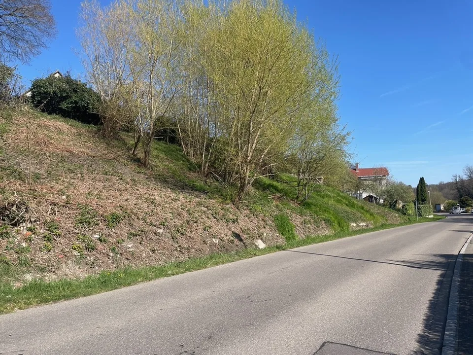 Jestetten - Baugrundstück in Südhanglage – Foto 8 von 9
