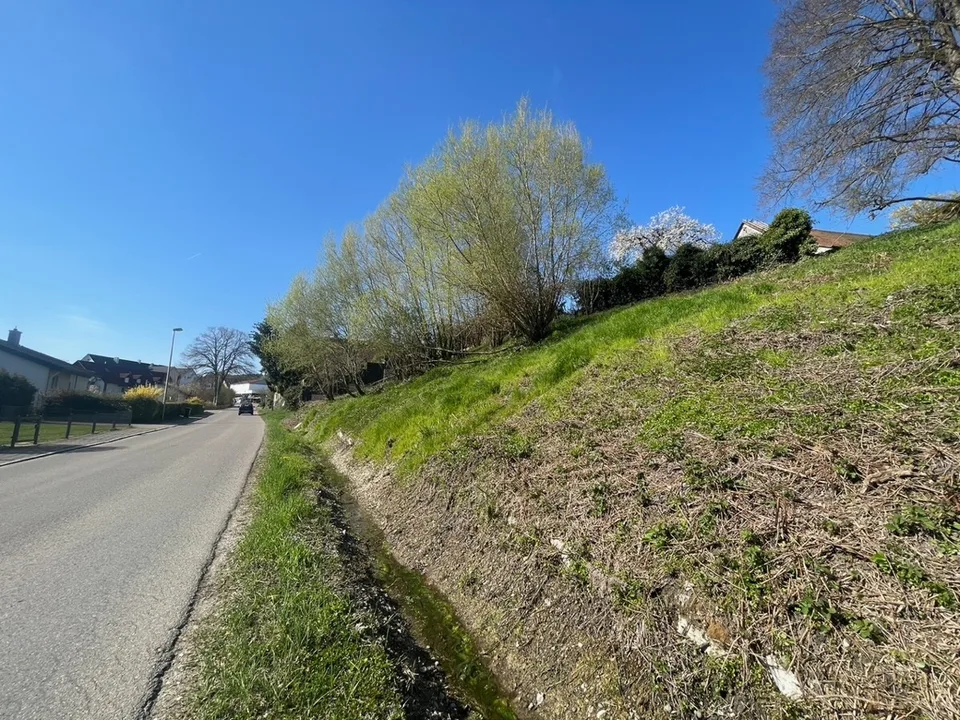 Jestetten - Terrain à bâtir en pente sud
