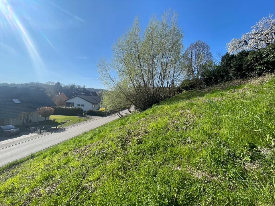 Jestetten - Terrain à bâtir en pente sud