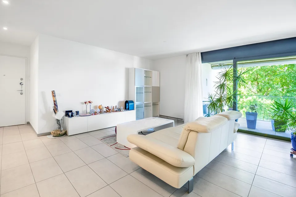 Bel appartement avec terrasse et vue sur le lac
