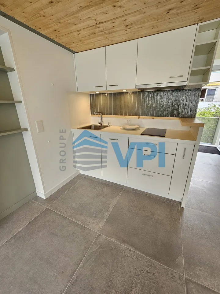 Magnifique 1.5 pièces duplex situé à Plan-les-Ouates