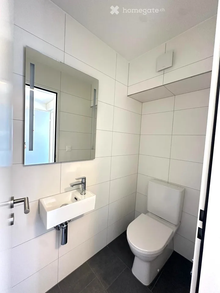 Appartement de 4 pièces rénové avec balcon et belle vue à Horw