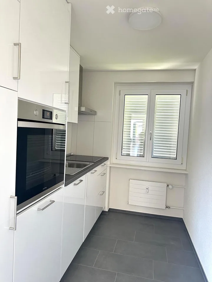 Helle sanierte 4-Zimmer-Wohnung mit Balkon und schöner Aussicht in Horw