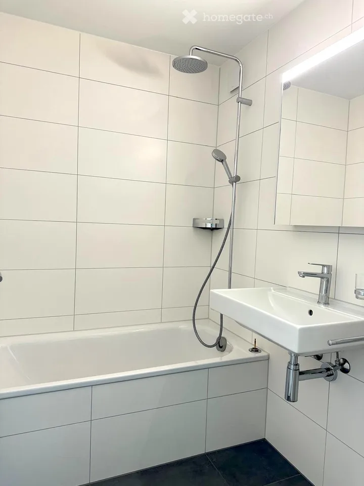 Appartement de 4 pièces rénové avec balcon et belle vue à Horw