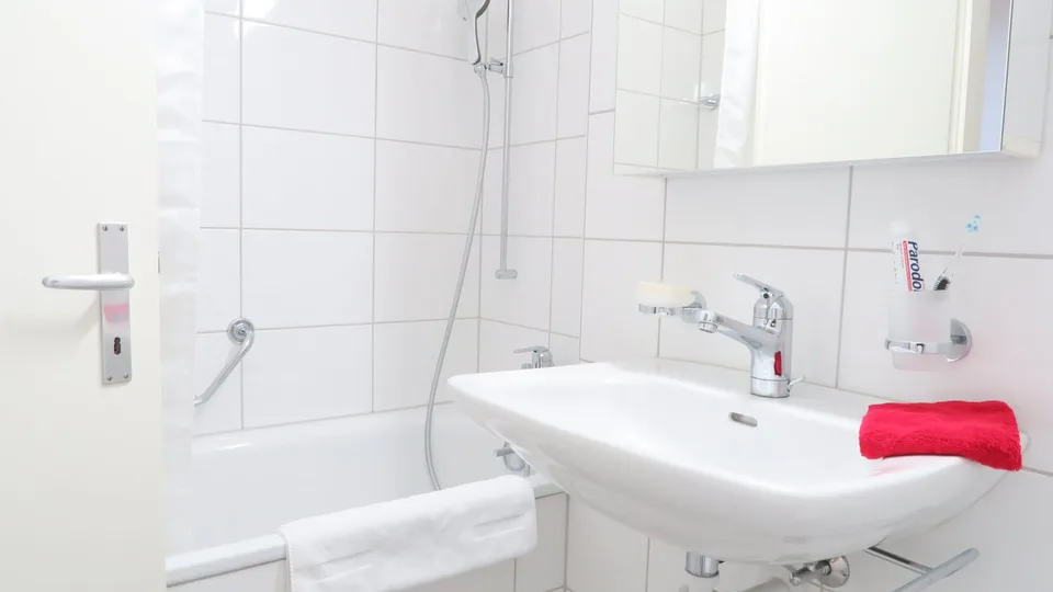 Carino appartamento monostanza vicino a Spalentor – foto 8 di 8