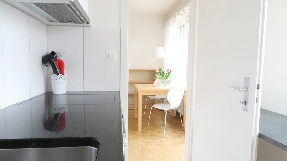Lovely one room apartment near Spalentor