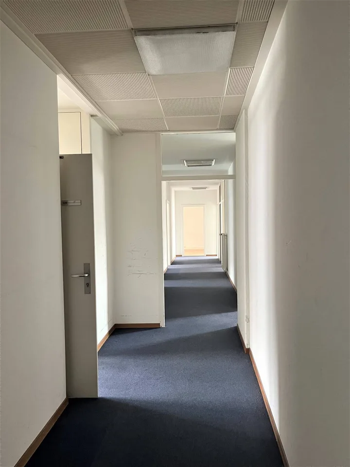 Very bright area - 305m2 offices