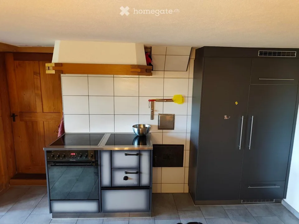 Large apartment with surrounding area