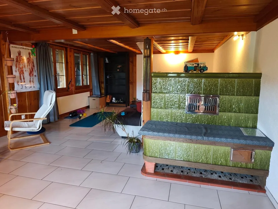 Large apartment with surrounding area