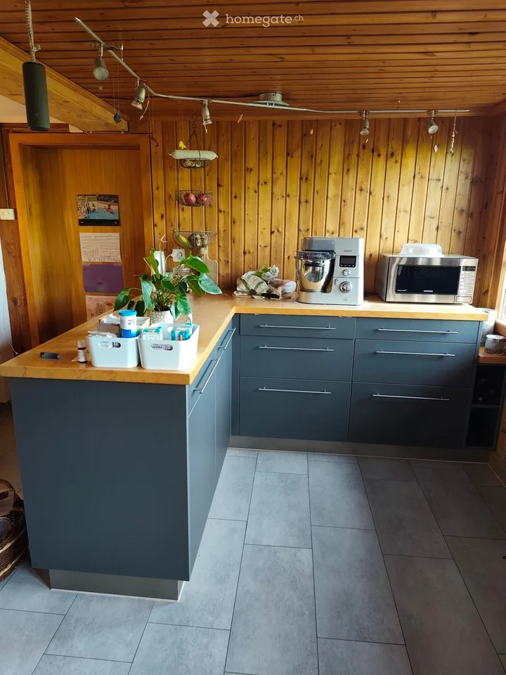 Large apartment with surrounding area