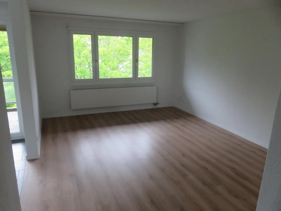 4.5-Zimmer Wohnung