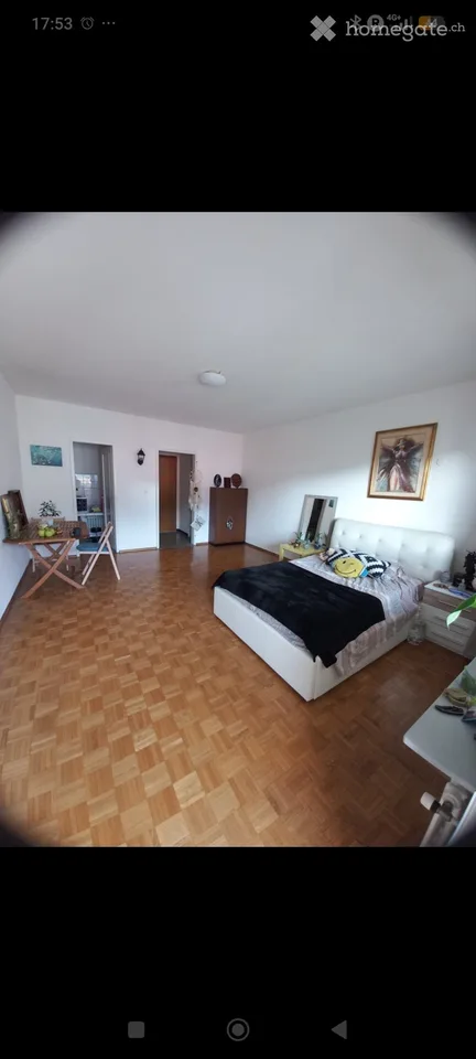 Cercasi subentrante - Monolocale a Locarno Città Vecchia