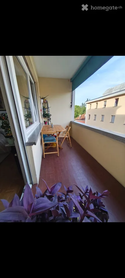 Cercasi subentrante - Monolocale a Locarno Città Vecchia