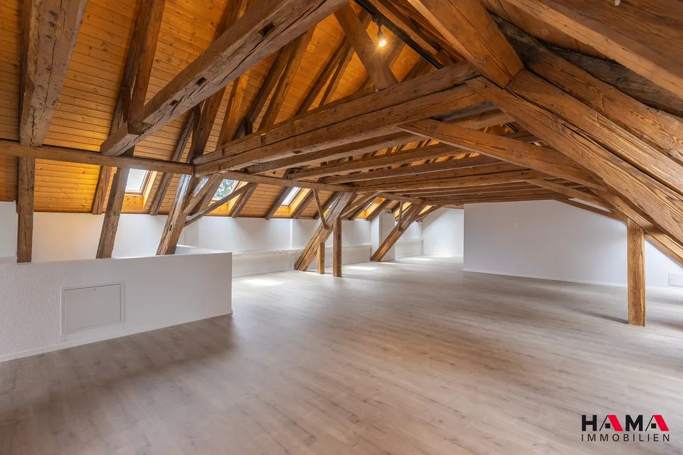 Erstvermietung Loftwohnung 178 m²