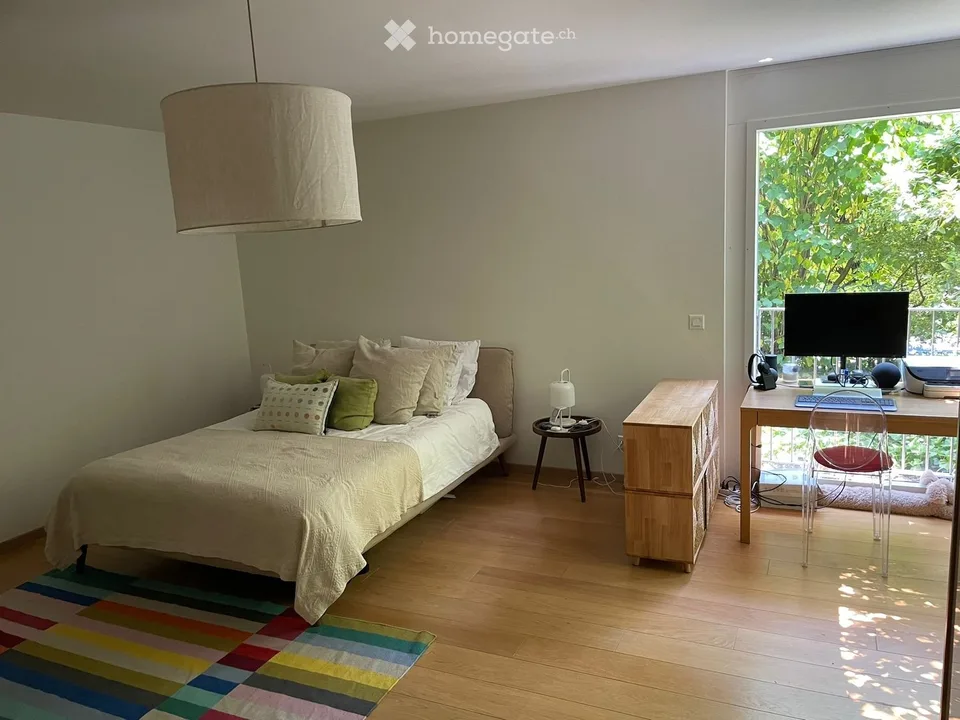 Lease Takeover  Beautiful Apartment in Conches/Malagnou