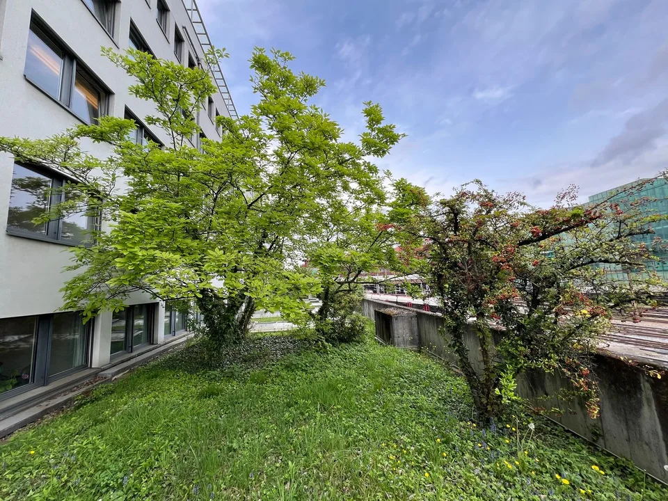 Ihr neues Kunst- oder Architekturstudio im Basel-Gundeli