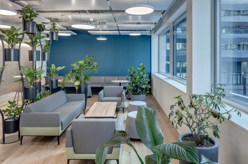 Flexible team offices for you and your team