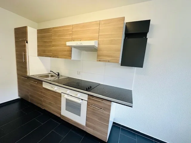 Appartamento luminoso di 2,5 locali su Dornacherstrasse a Basilea