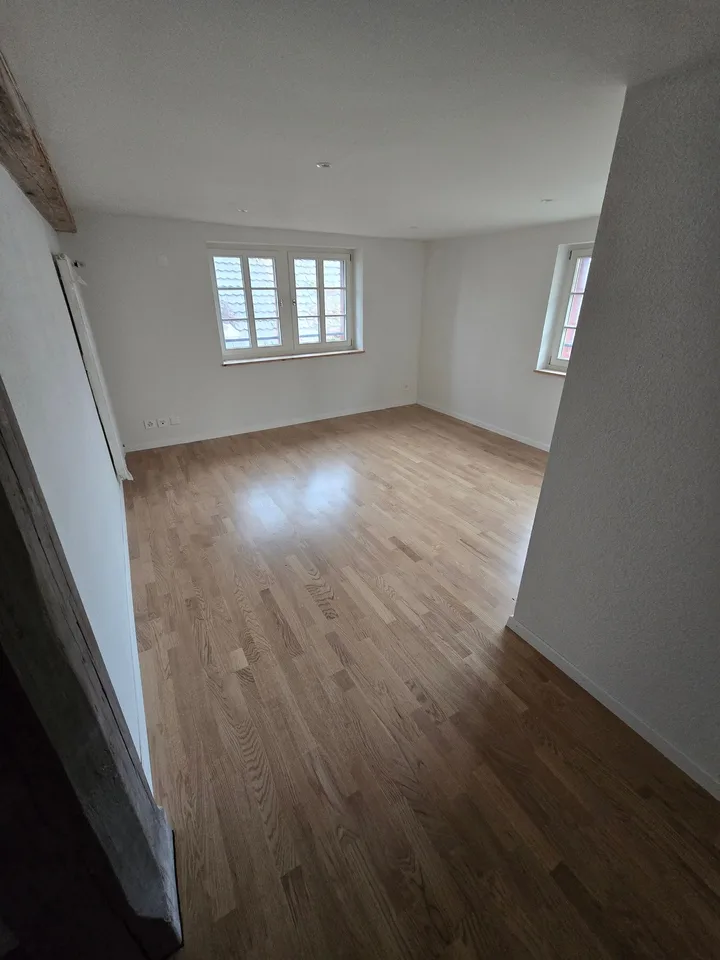 Charmant appartement 7,5 pièces dans un bâtiment historique à Ottenbach