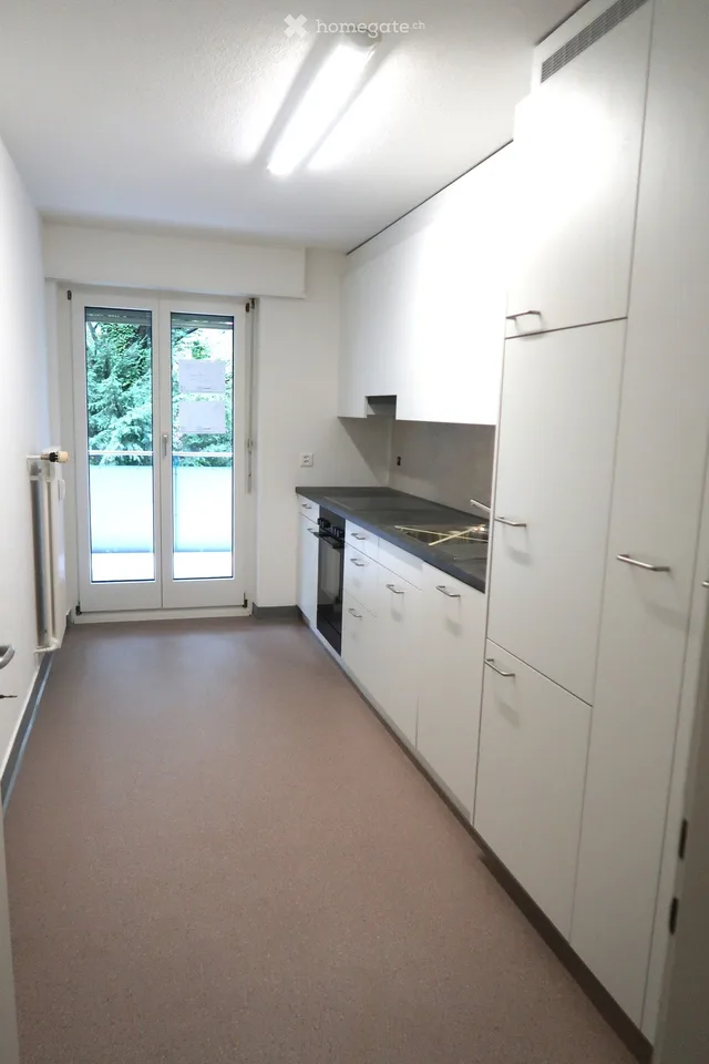 Grosszügige, frisch renovierte 4.5-Zimmer-Wohnung mit Balkon und schöner Aussicht in Luzern