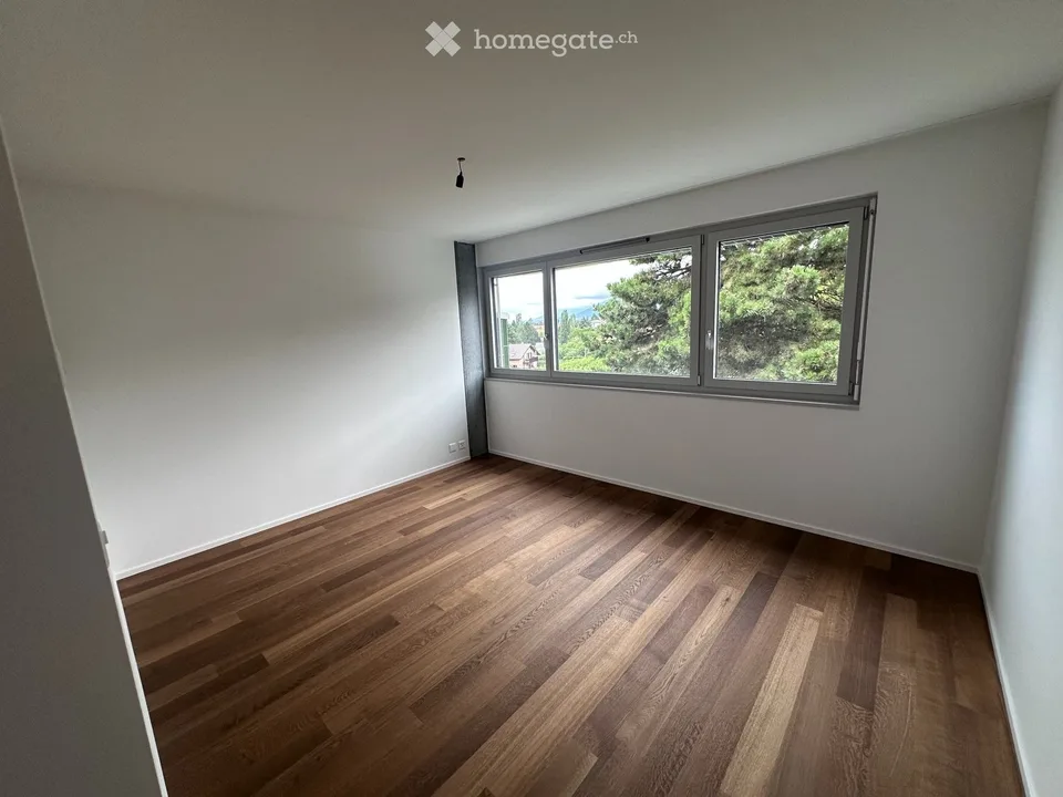 Super Attico con vista sul lago