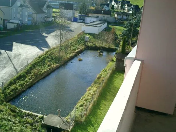 renovierte, sonnige 3.5-Zi-Wohnung mit sonnigem Balkon