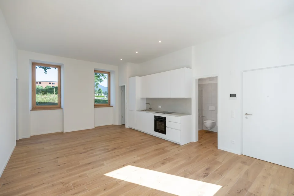 Ehemalige, komplett renovierte Mühle, Erstbezug mit Terrasse