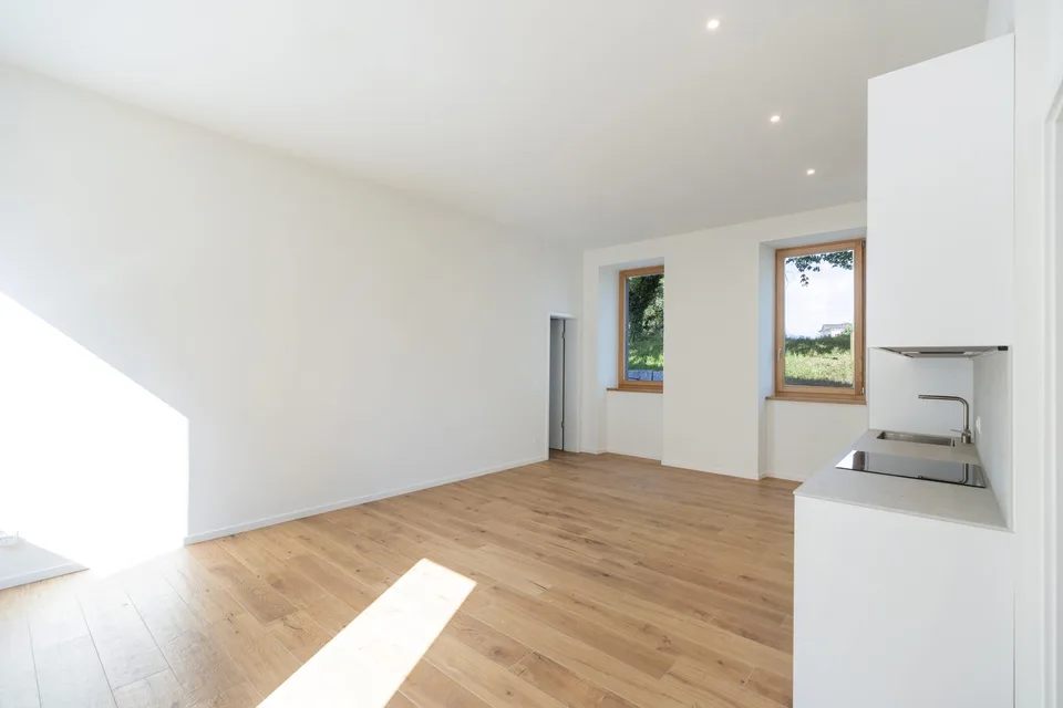 Ehemalige, komplett renovierte Mühle, Erstbezug mit Terrasse