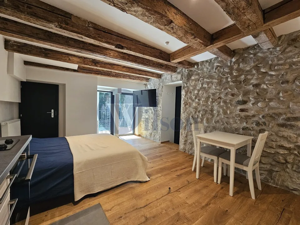 Charmantes möbliertes Studio im Zentrum von Nyon