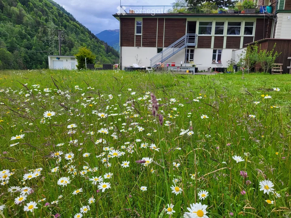Camera arredata in una posizione idilliaca nel Glarnerland