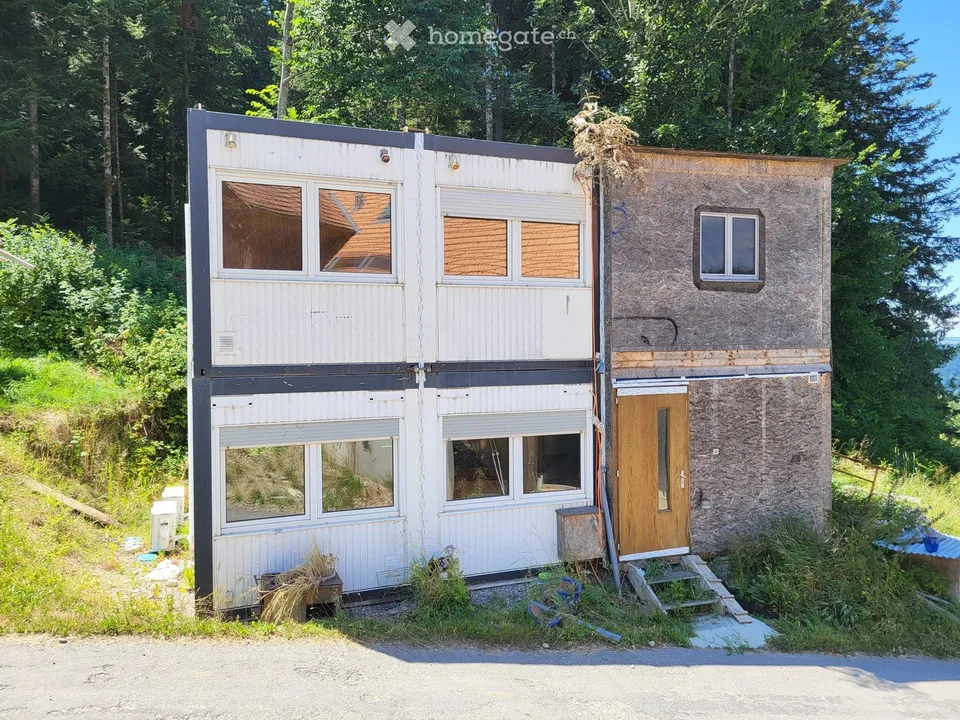 Container/Tiny Haus