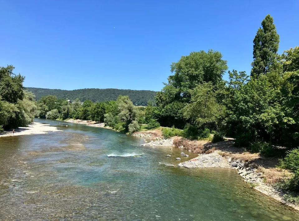 Entre Limmat et Hardwald