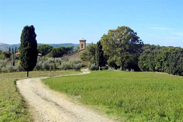 Pisa: Casale
