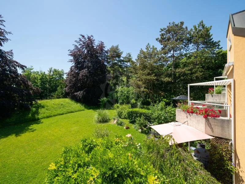 Charmant appartement - Chambésy