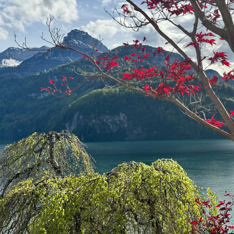Exklusives Wohnen am Vierwaldstättersee – Foto 11 von 23