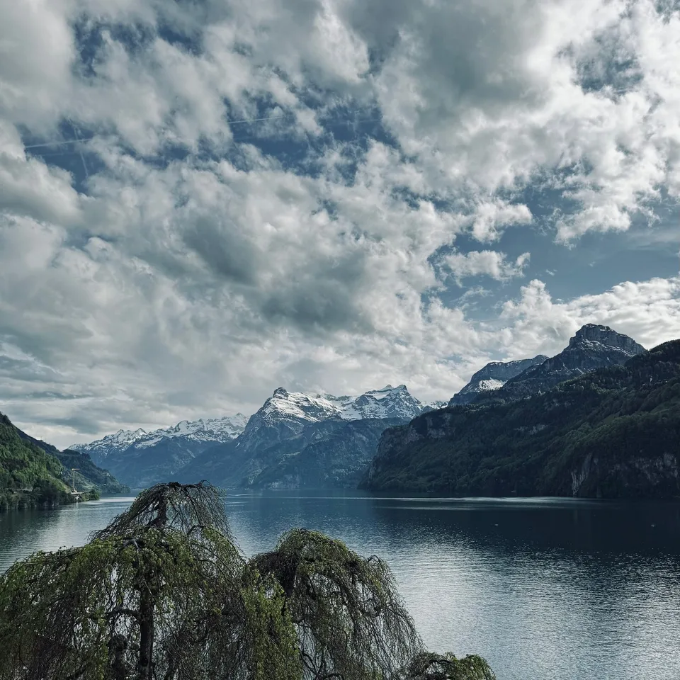 Exklusives Wohnen am Vierwaldstättersee – Foto 12 von 23