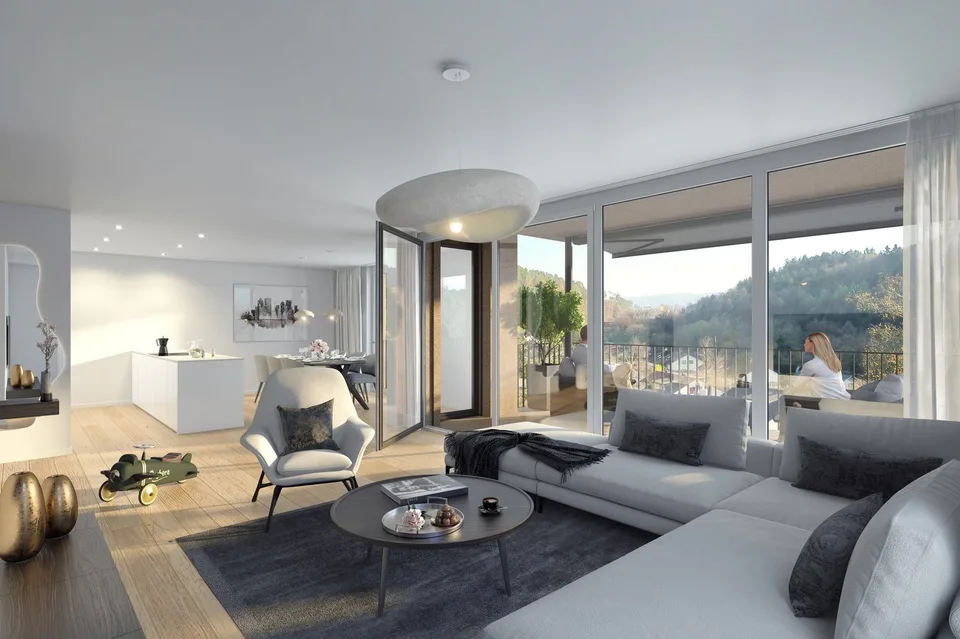 Neue, äusserst komfortable 4.5-Zimmer-Wohnung an der Sommerhalde in Schaffhausen