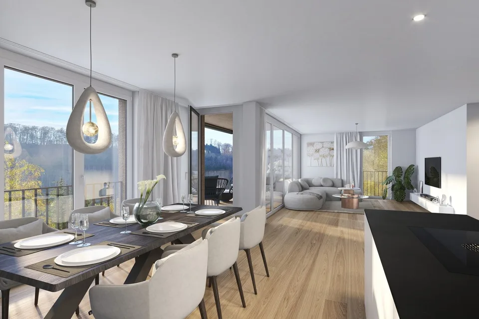 Neue, äusserst komfortable 4.5-Zimmer-Wohnung an der Sommerhalde in Schaffhausen