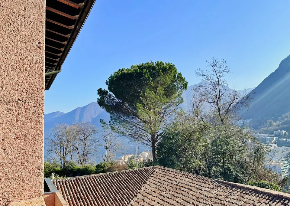 Duplex élégant de 5.5 pièces avec jardin à Lugano – photo 8 sur 11