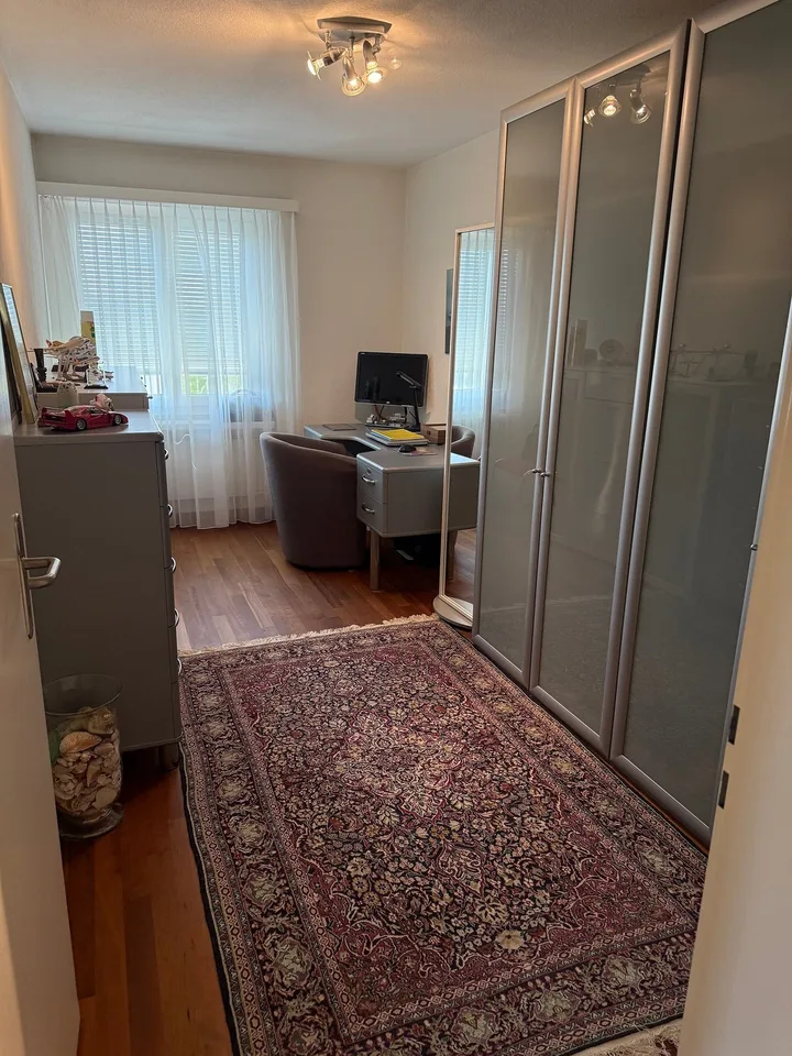 Vista più bella su Winkel - Appartamento di 4,5 locali in vendita – foto 13 di 16